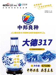 大德317